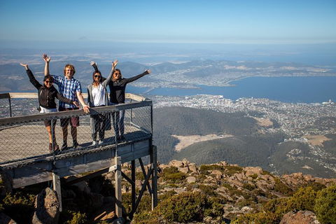 Mt Field National Park Active Day-Trip Including Bonorong And Mt Wellington - Accommodation Port Macquarie 0