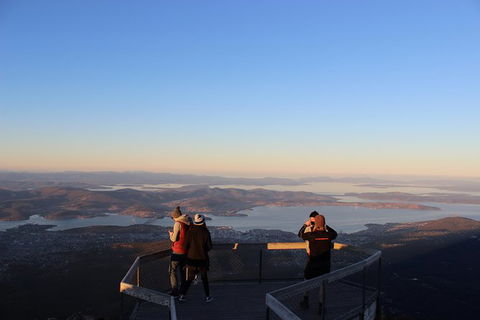 Mt Field National Park Active Day-Trip Including Bonorong And Mt Wellington - Accommodation Port Macquarie 7