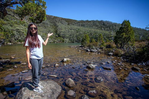 Mt Field National Park Active Day-Trip Including Bonorong And Mt Wellington - Accommodation Port Macquarie 12
