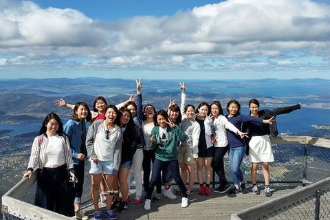 Mt Field National Park Active Day-Trip Including Bonorong And Mt Wellington - Accommodation Port Macquarie 3