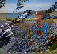 Port Arthur and Lavender Farm Active Day Tour - Accommodation Port Macquarie