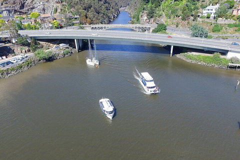 Cataract Gorge Cruise 10:30 Am - Accommodation Port Macquarie 5