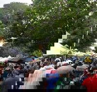 Hobart Half-Day Sightseeing Coach Tram Tour - Accommodation Port Macquarie