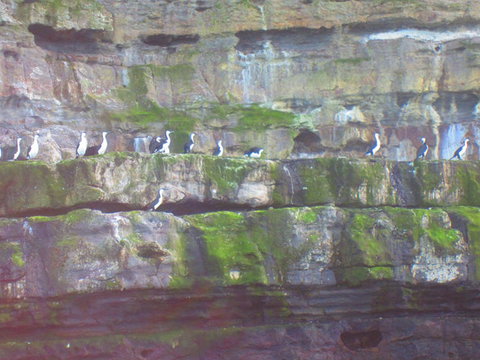 Full-Day Tasman Peninsula Tour From Hobart - Accommodation Port Macquarie 12