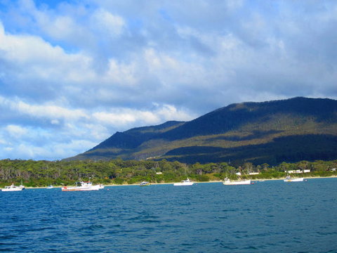 Full-Day Tasman Peninsula Tour From Hobart - Accommodation Port Macquarie 7