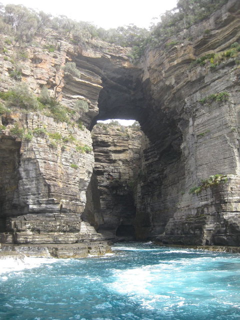 Full-Day Tasman Peninsula Tour From Hobart - Accommodation Port Macquarie 5