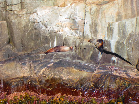 Full-Day Tasman Peninsula Tour From Hobart - Accommodation Port Macquarie 9