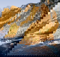 Full-Day Tasman Peninsula Tour from Hobart - Accommodation Port Macquarie