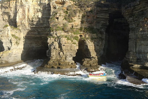 Full-Day Tasman Peninsula Tour From Hobart - Accommodation Port Macquarie 18