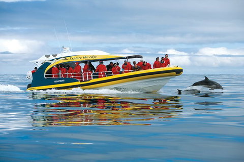 Full-Day Tasman Peninsula Tour From Hobart - Accommodation Port Macquarie 17
