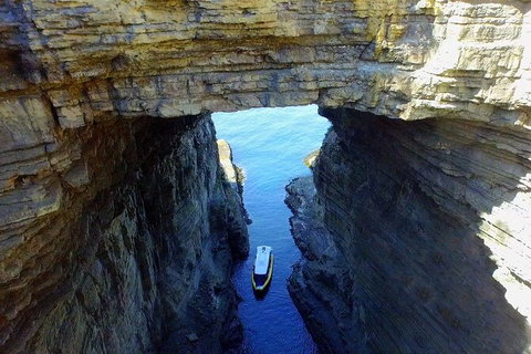 Full-Day Tasman Peninsula Tour From Hobart - Accommodation Port Macquarie 19