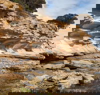 Maria Island premium private photo-oriented day tour from Hobart - Accommodation Port Macquarie