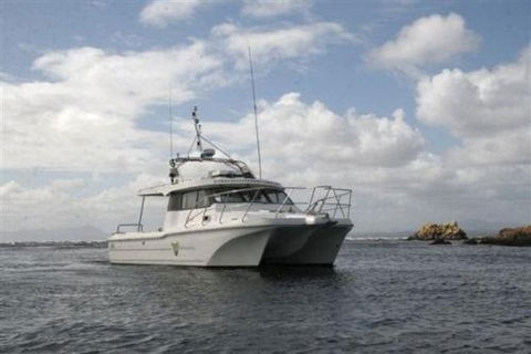 Bonnet Island Experience Departing From Strahan - Accommodation Port Macquarie 1