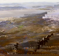 Mt Wellington Half Day Guided Summit Hike - Accommodation Port Macquarie