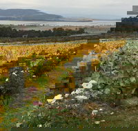 Mona and Wine Experience Tour - Accommodation Port Macquarie