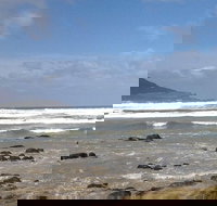 Private Bruny Island Nature Day Trip from Hobart - Accommodation Port Macquarie