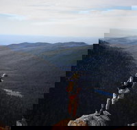 Mount Field National Park - Tarn Shelf  Russell Falls - Guided Hiking Tour - Accommodation Port Macquarie