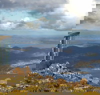 Half-Day Mt Wellington Summit Tour from Hobart - Accommodation Port Macquarie