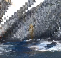 Day Trip to Tasman Peninsula and Port Arthur Historic Site from Hobart - Accommodation Port Macquarie