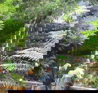 Mt Field National Park and Russell Falls from Hobart - Accommodation Port Macquarie