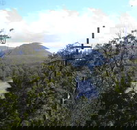 Huon Valley and Tahune Forest Airwalk Tour from Hobart - Accommodation Port Macquarie