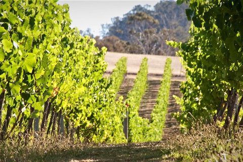 Richmond And Wine Tour Departing Hobart - Accommodation Port Macquarie 1