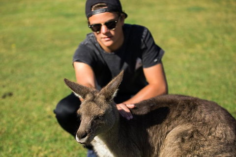 4-Day Tasmania East Coast Adventure From Launceston To Hobart Including Bay Of Fires, Wineglass Bay, Bruny Island And Port Arthu - Accommodation Port Macquarie 6