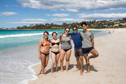 4-Day Tasmania East Coast Adventure From Launceston To Hobart Including Bay Of Fires, Wineglass Bay, Bruny Island And Port Arthu - Accommodation Port Macquarie 5