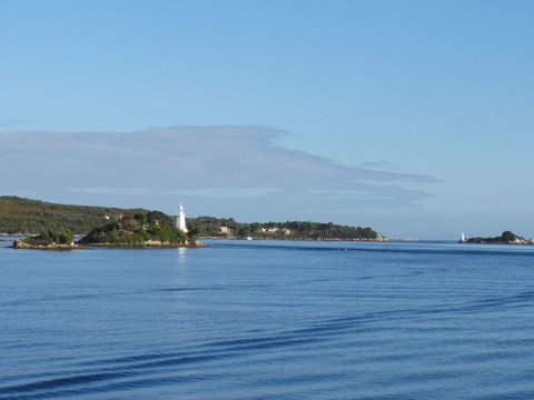 Gordon River Cruise Departing From Strahan - Accommodation Port Macquarie 8