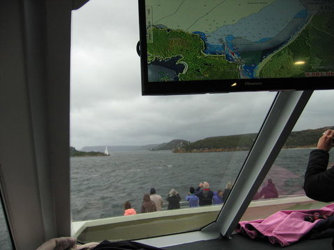 Gordon River Cruise Departing From Strahan - Accommodation Port Macquarie 5