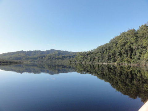 Gordon River Cruise Departing From Strahan - Accommodation Port Macquarie 7