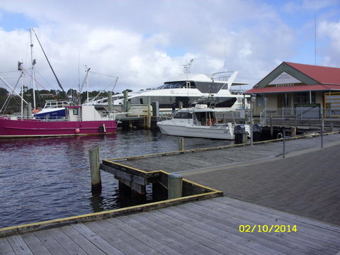 Gordon River Cruise Departing From Strahan - Accommodation Port Macquarie 14