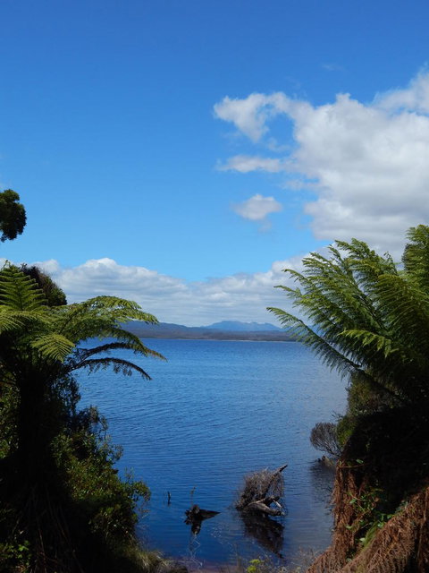 Gordon River Cruise Departing From Strahan - Accommodation Port Macquarie 20
