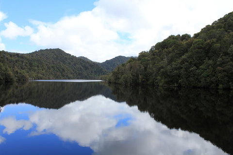 Gordon River Cruise Departing From Strahan - Accommodation Port Macquarie 21