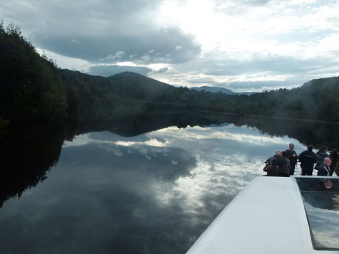 Gordon River Cruise Departing From Strahan - Accommodation Port Macquarie 15
