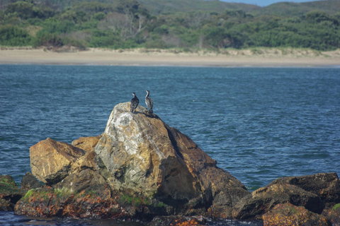 Gordon River Cruise Departing From Strahan - Accommodation Port Macquarie 11