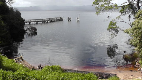 Gordon River Cruise Departing From Strahan - Accommodation Port Macquarie 22