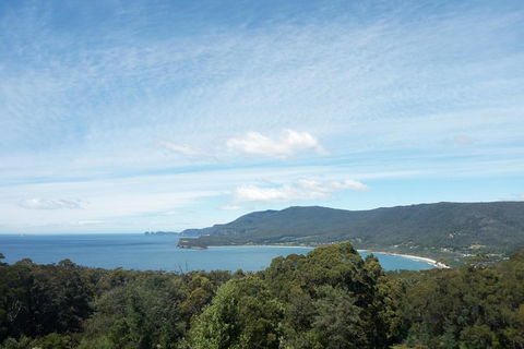 Private Tasman Peninsula Cruise Ship Tour From Port Arthur - Accommodation Port Macquarie 1