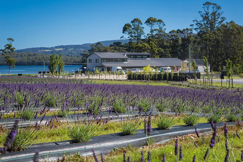 Private Tasman Peninsula Cruise Ship Tour From Port Arthur - Accommodation Port Macquarie 0