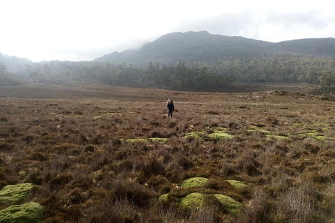 The Walls Of Jerusalem Supported Trekking Tour - Accommodation Port Macquarie 4