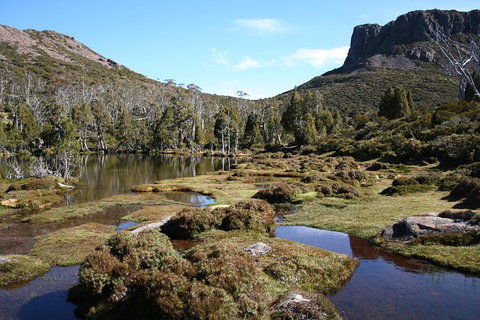 The Walls Of Jerusalem Supported Trekking Tour - Accommodation Port Macquarie 6
