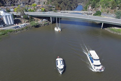 2.5 Hour Morning Discovery Cruise Including Sailing Into The Cataract Gorge - Accommodation Port Macquarie 4