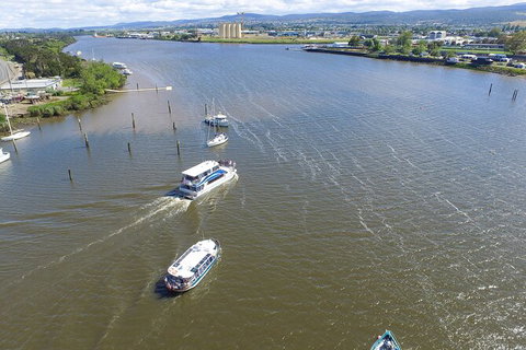 2.5 Hour Morning Discovery Cruise Including Sailing Into The Cataract Gorge - Accommodation Port Macquarie 5