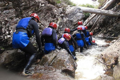 Half Day Cradle Mountain Canyoning: Lost World Canyon - Accommodation Port Macquarie 1