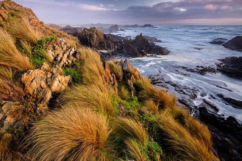 4-Day Tarkine Wilderness Photography Workshop - Accommodation Port Macquarie 0