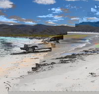 4X4 and Lunch Half Day Bicheno Coastal Mountain - Accommodation Port Macquarie