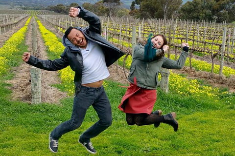 Mclaren Vale Luxury Full Day Small Group Wine Tour - Accommodation Port Macquarie 0