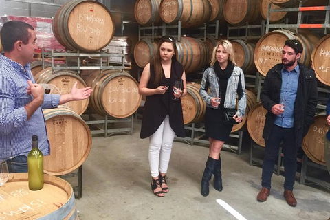 Mclaren Vale Luxury Full Day Small Group Wine Tour - Accommodation Port Macquarie 8