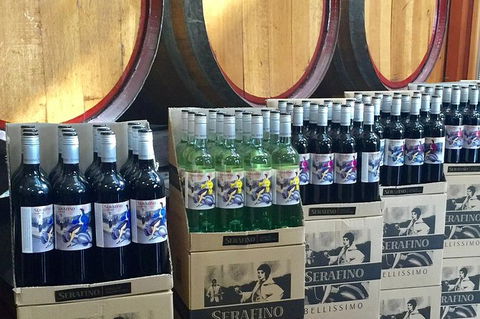 Mclaren Vale Luxury Full Day Small Group Wine Tour - Accommodation Port Macquarie 10