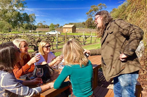 Mclaren Vale Luxury Full Day Small Group Wine Tour - Accommodation Port Macquarie 6